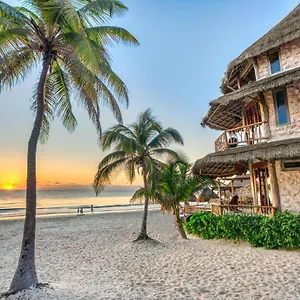 https://alaya-tulum.quintano-roohotels.com