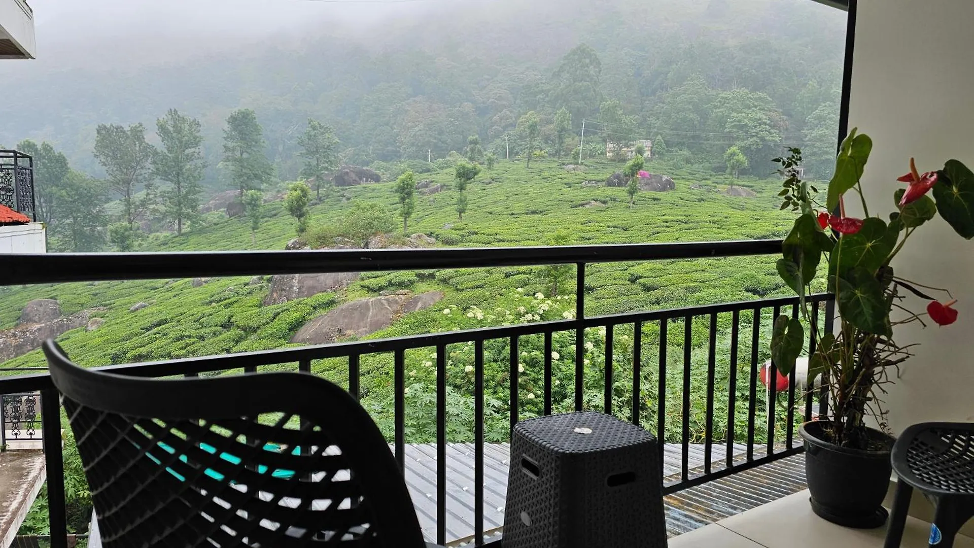 Tea Dale - All Rooms With Tea Estate View location