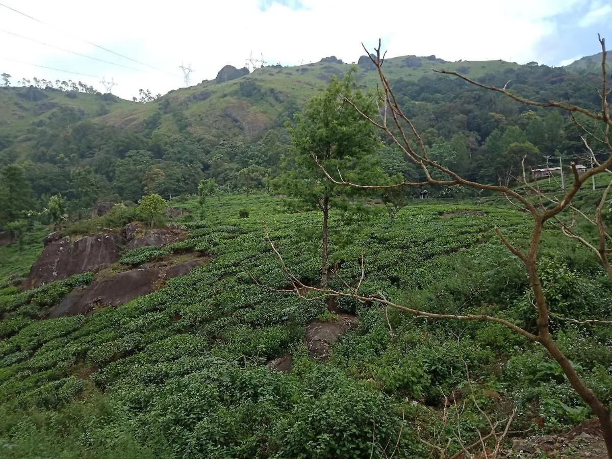 Tea Dale - All Rooms With Tea Estate View Munnar